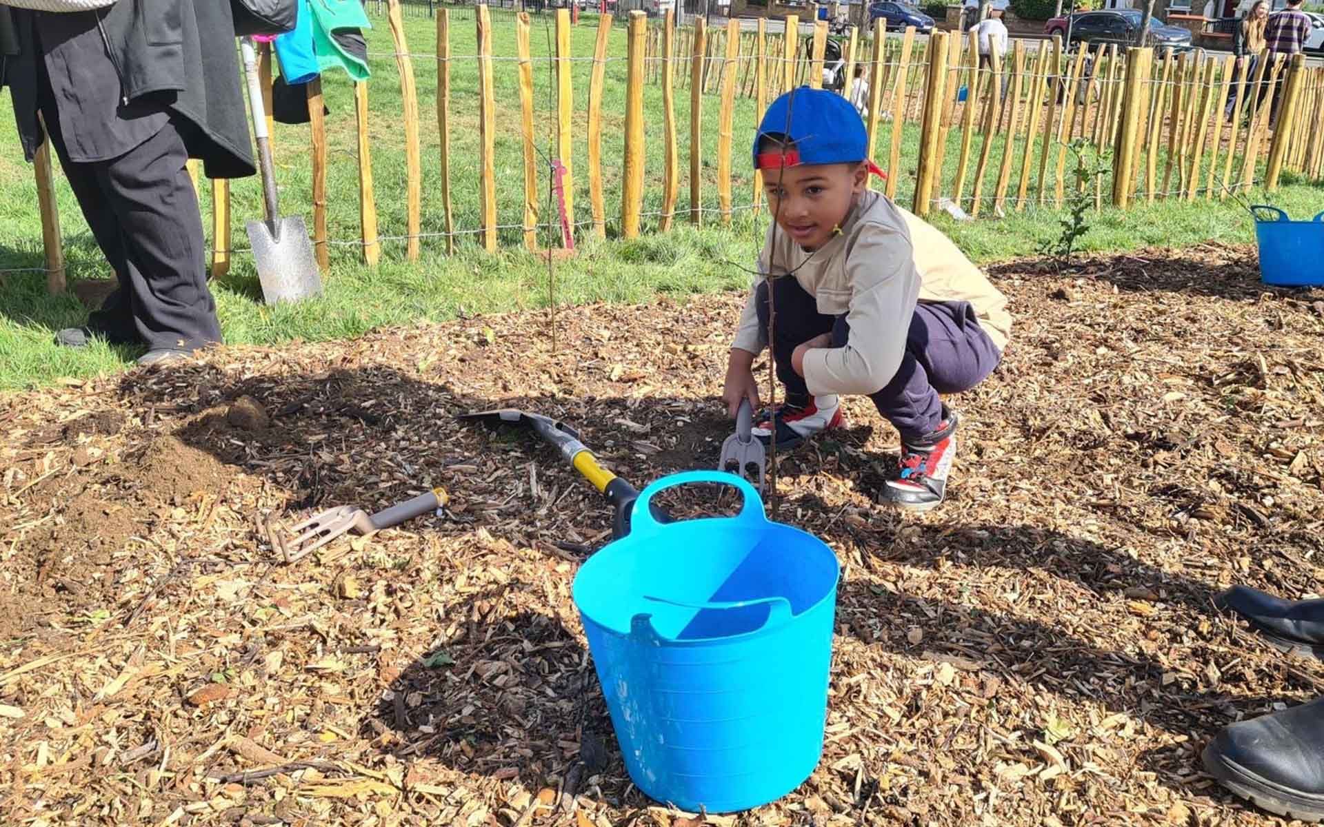 Paignton Park Tiny Forest Site children planting trees