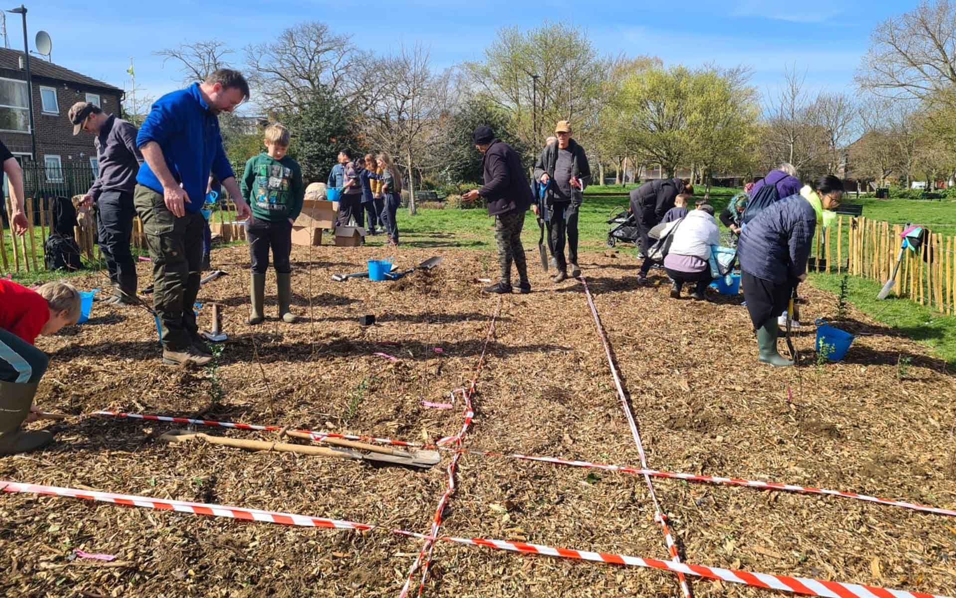 Paignton Park Tiny Forest planting transects for trees