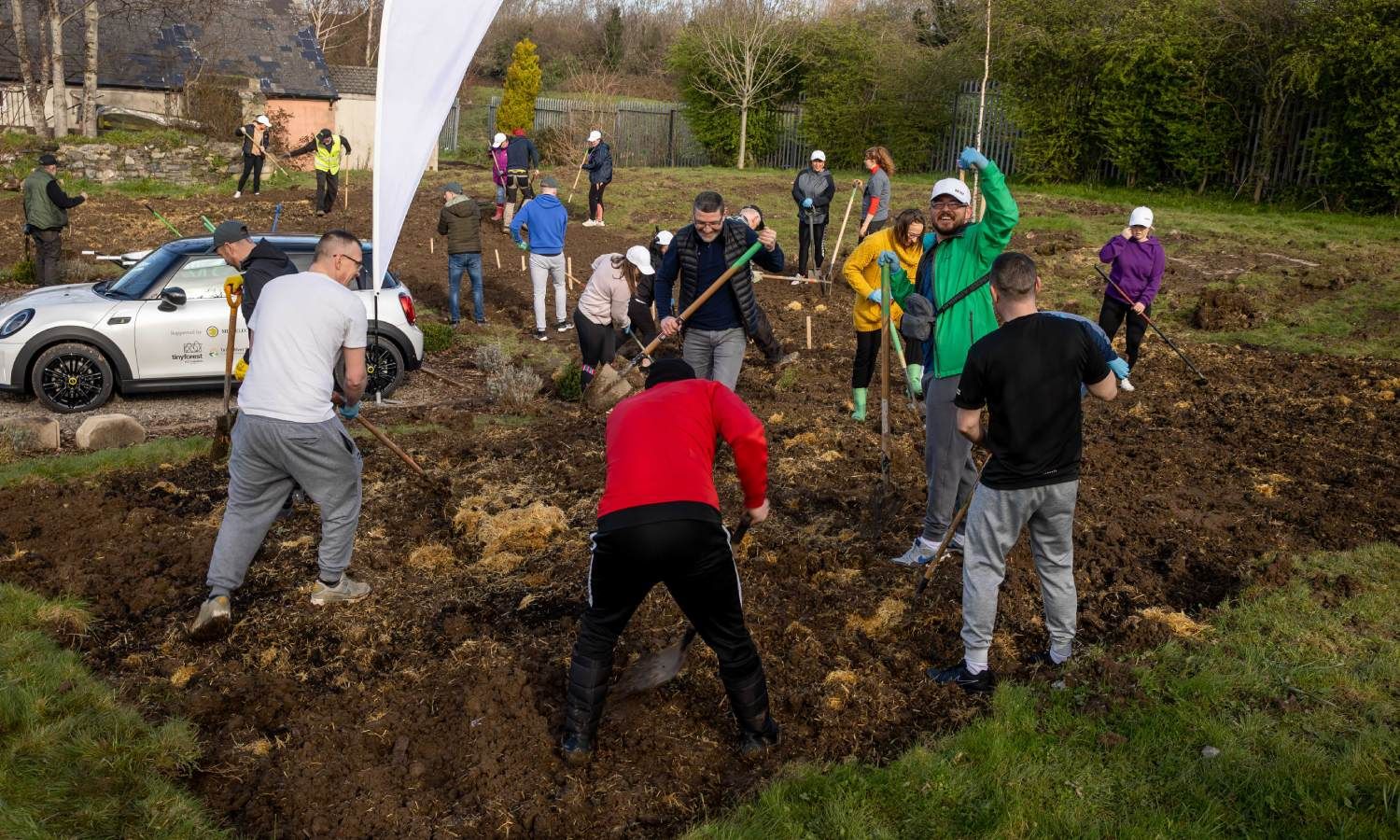 BMW group planting the Tiny Forest