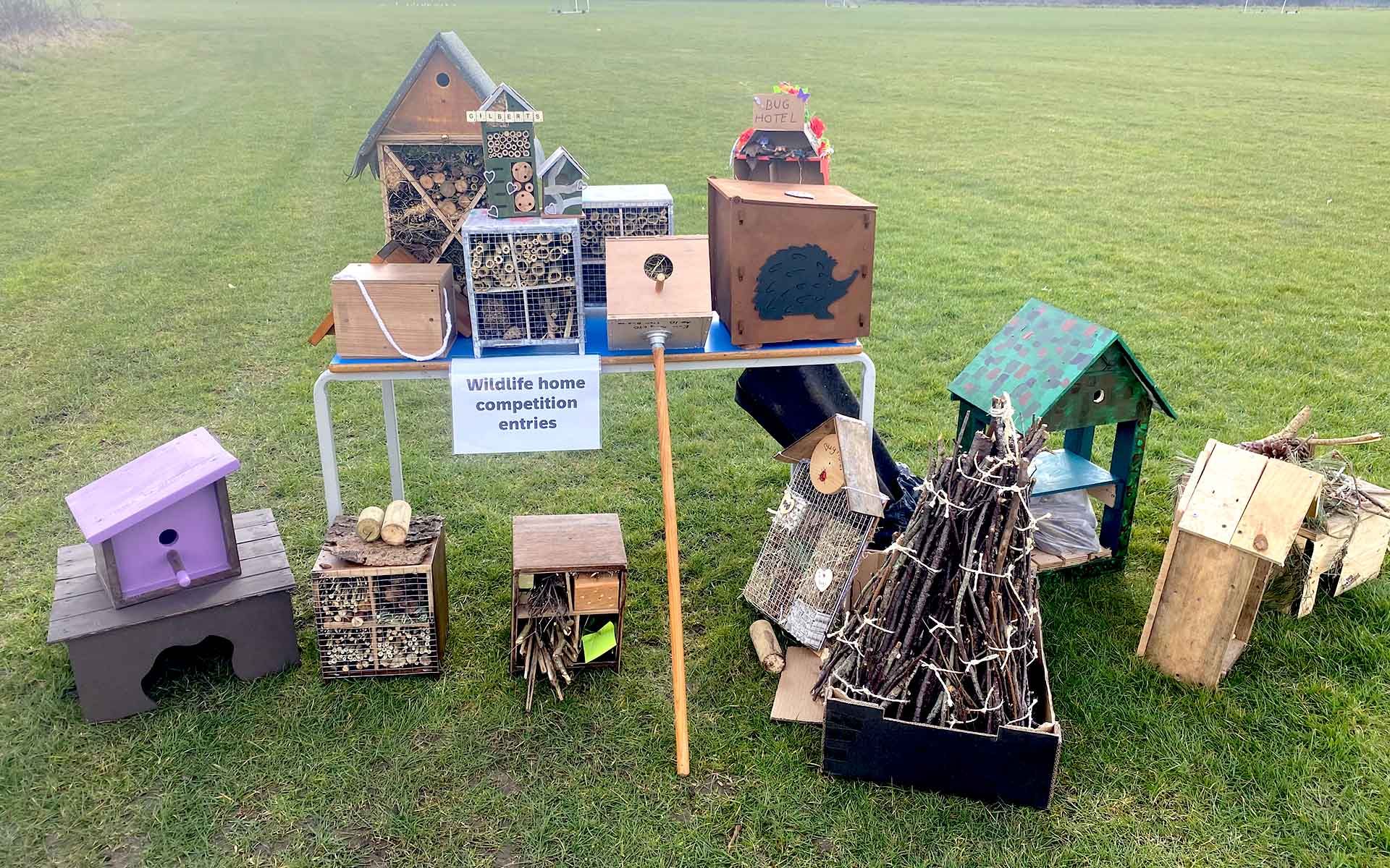 Gilbert Inglefield Academy nature bee hotel