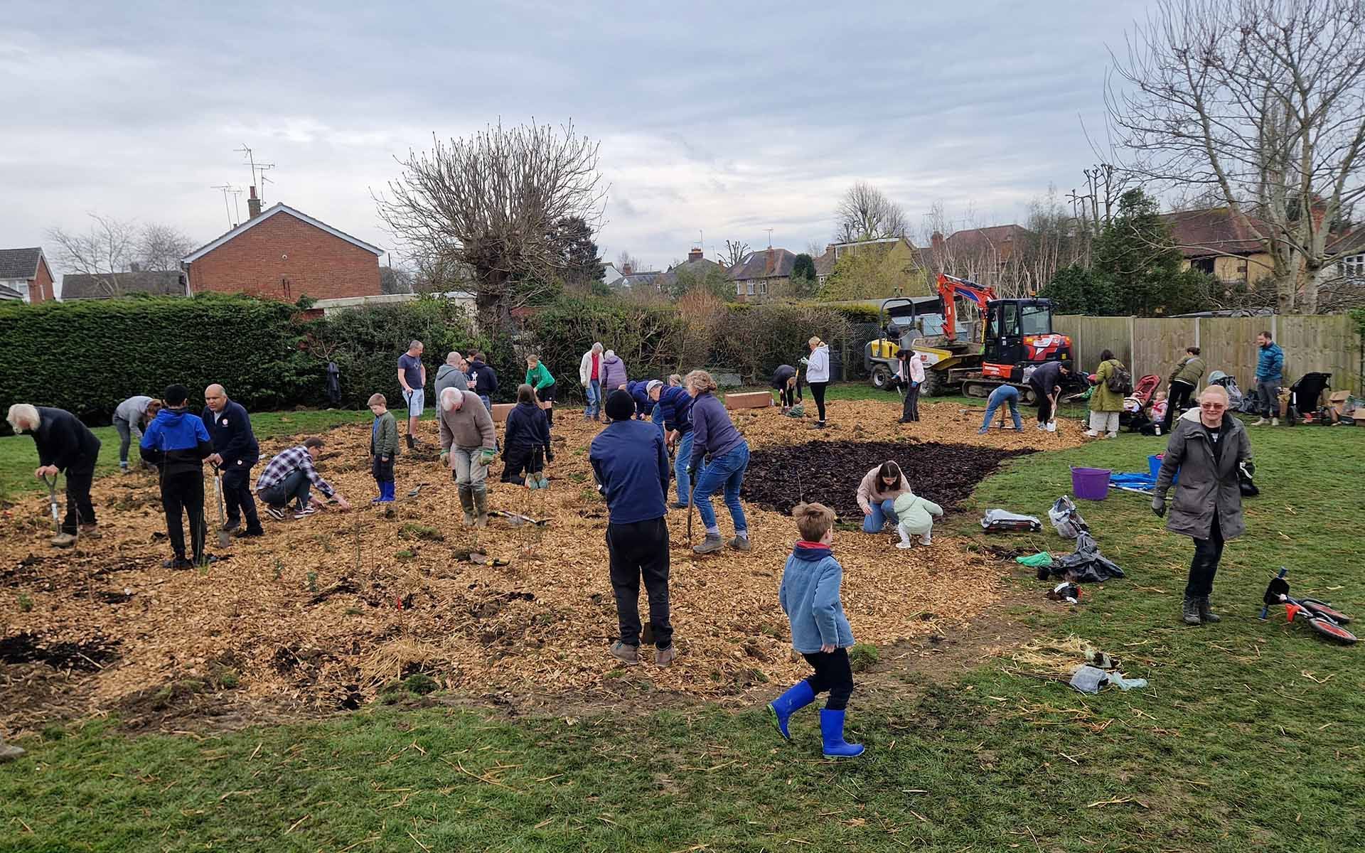 Headlands Park Tiny Forest planting team