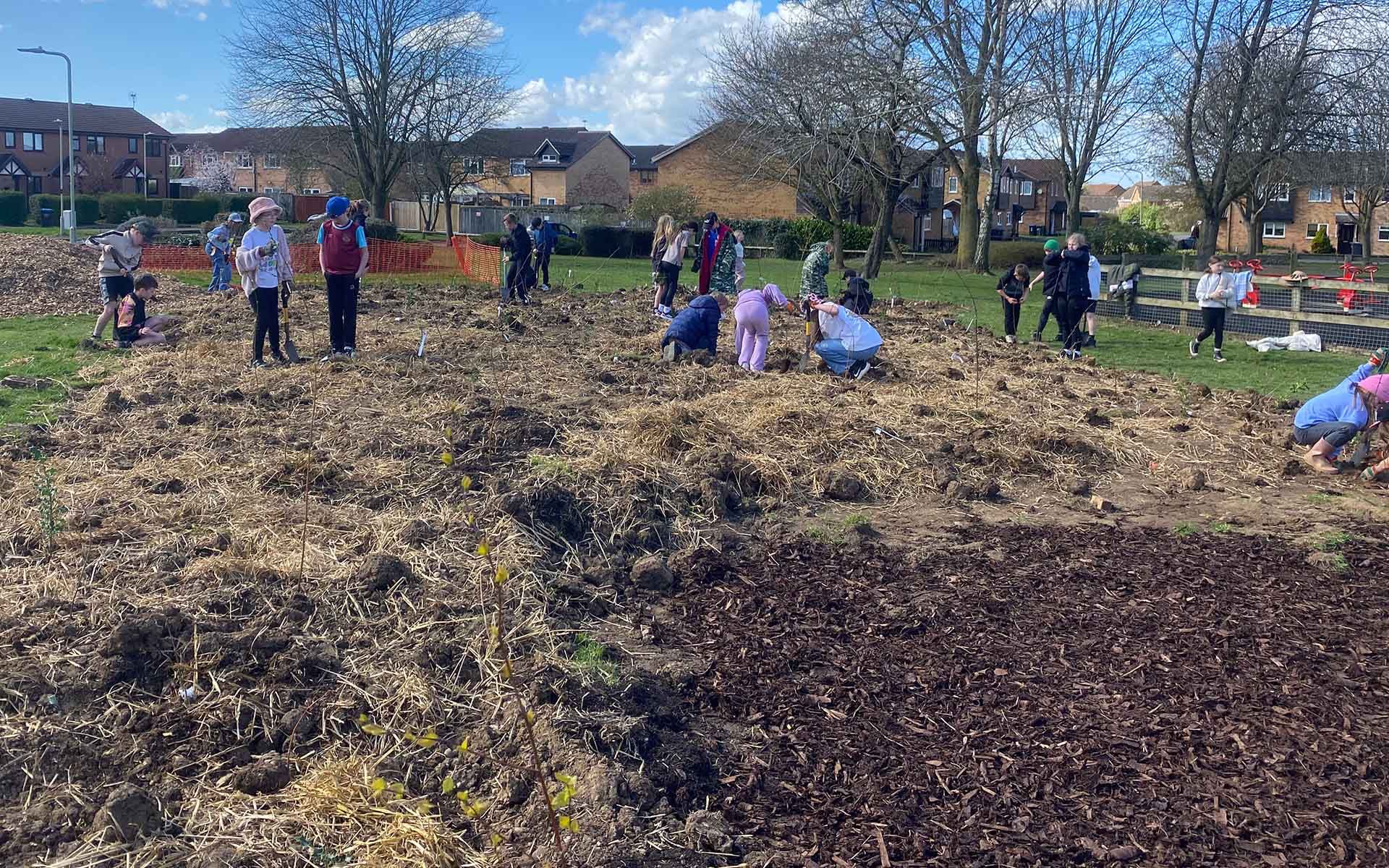 Devitt Way Tiny Forest students planting