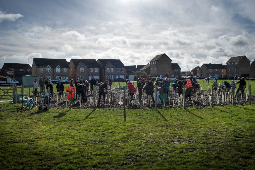 Volunteers, residents and scouts helping to plant trees