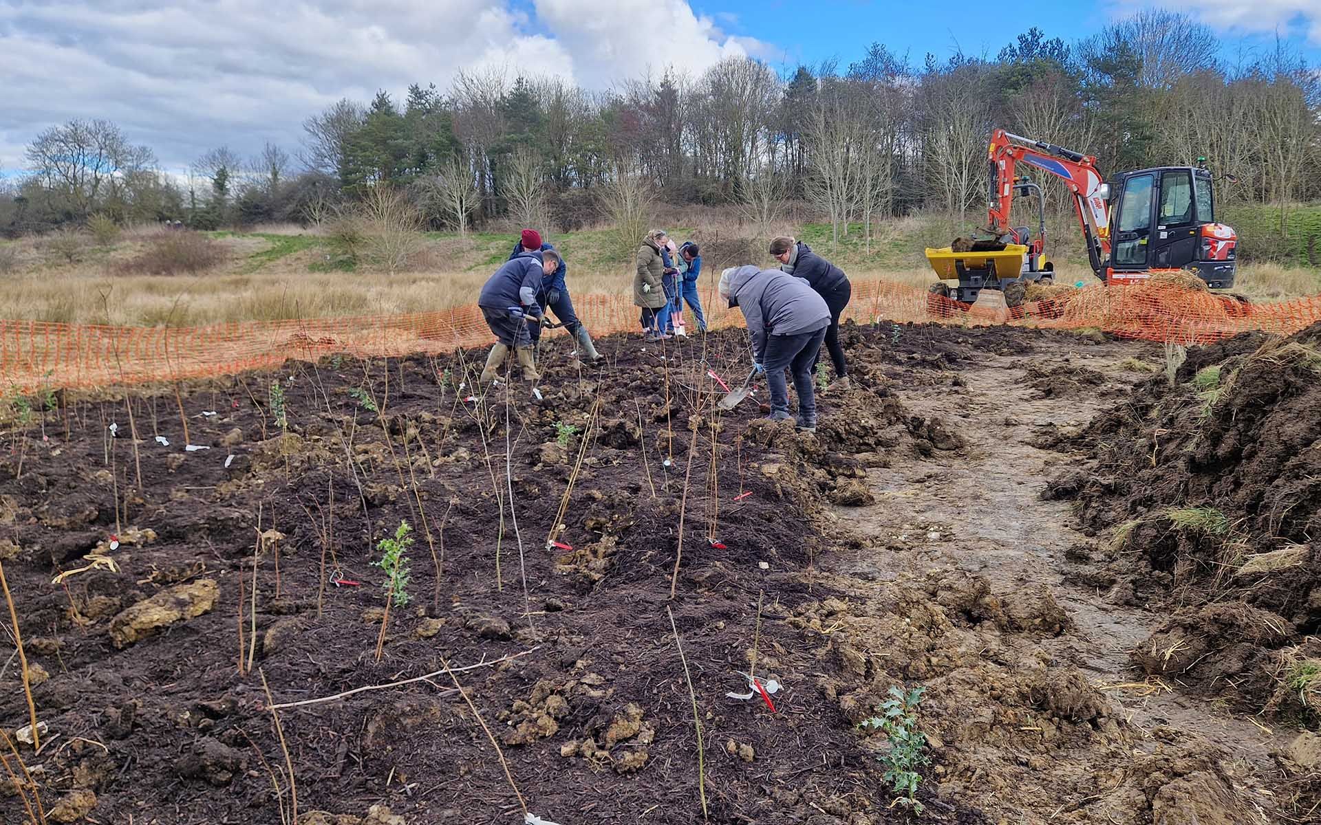 Melton Country Park Tiny Forest Planting Saplings