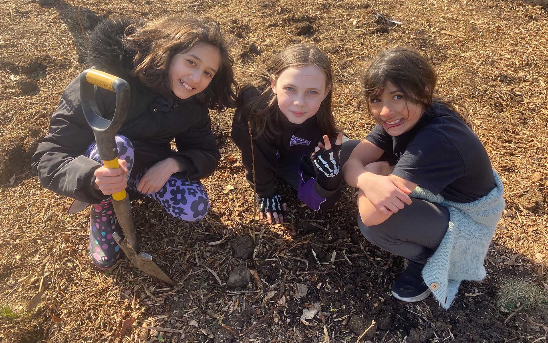 Gilbert Inglefield Academy Planting young people