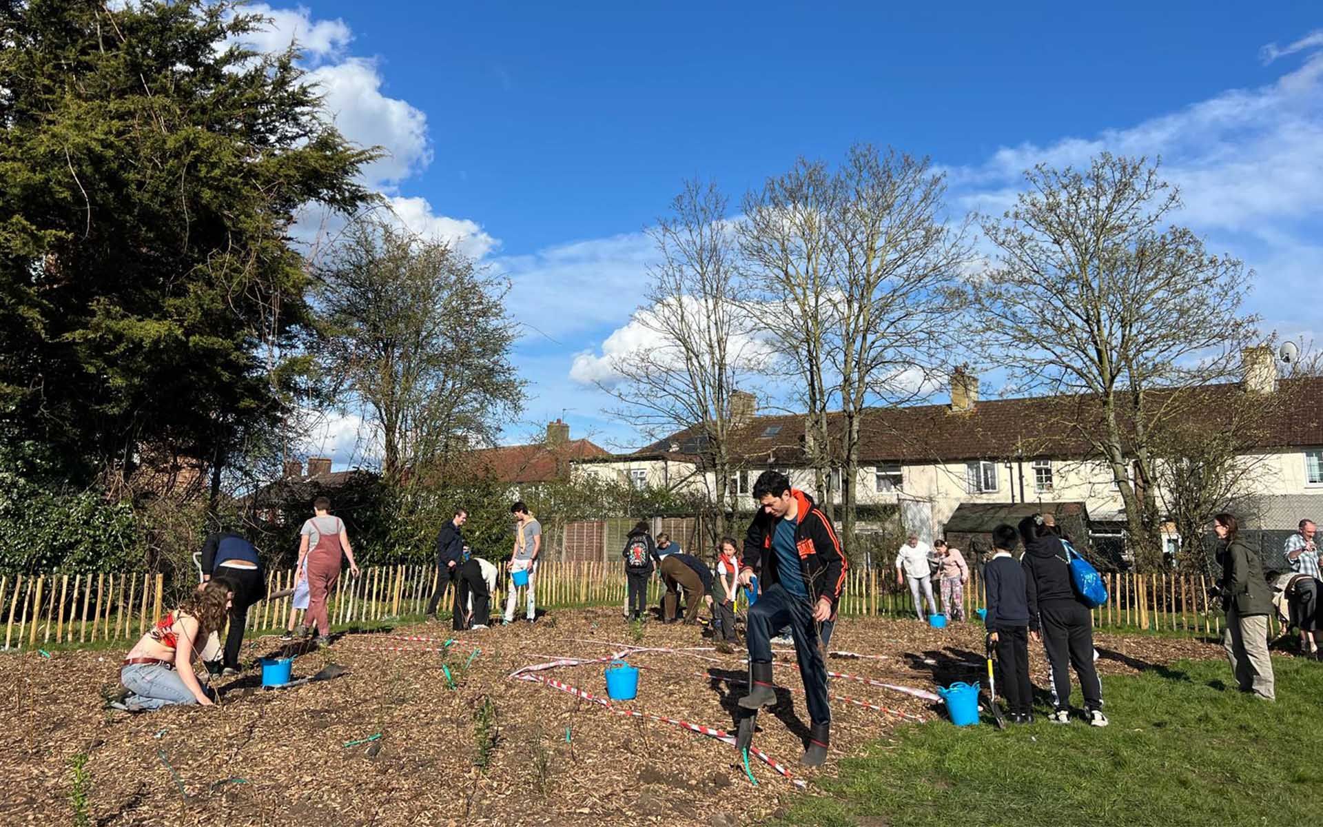 New Road Park Tiny Forest planting group of local people
