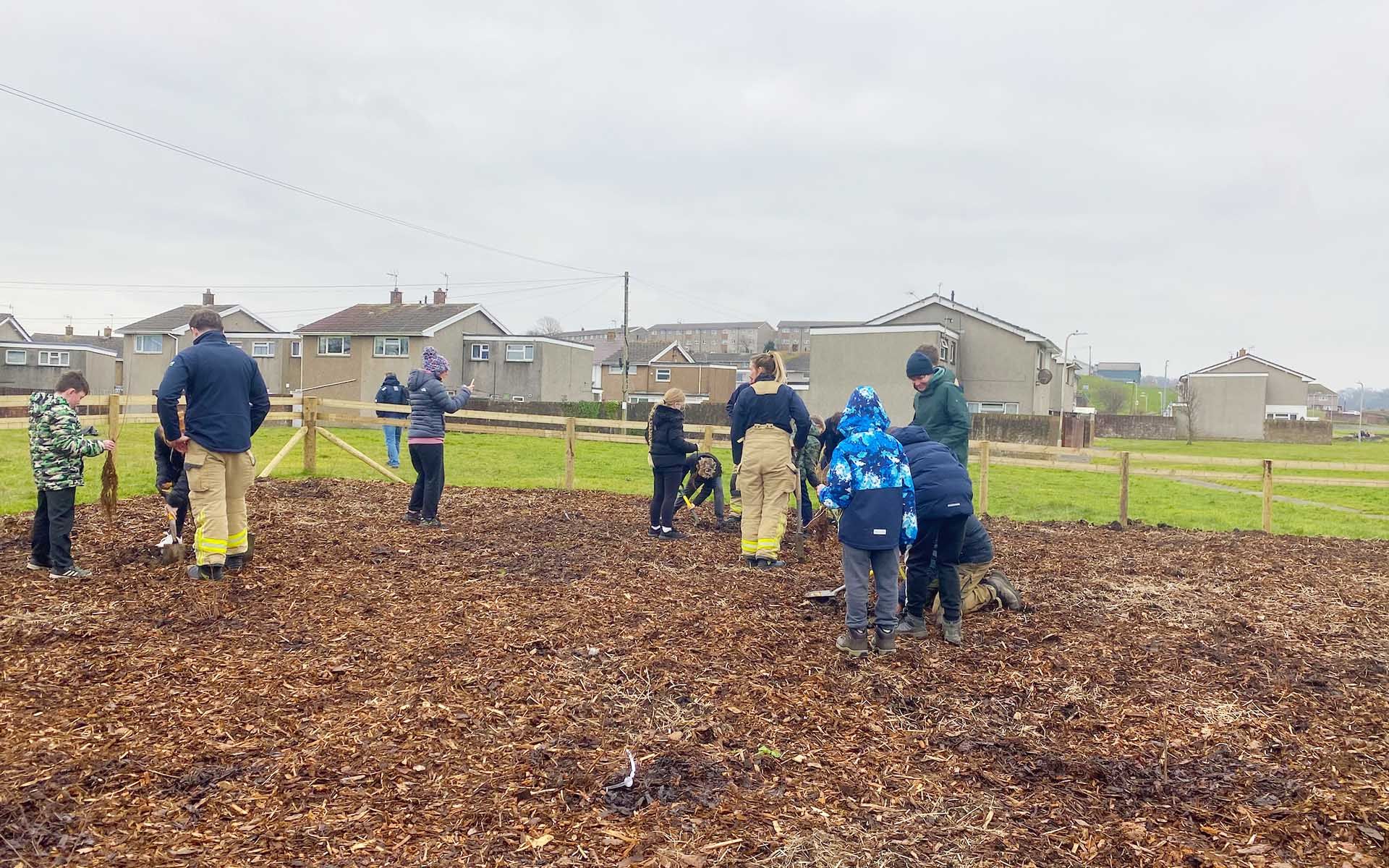 Parc Poced Marlas Pocket Park Tiny Forest planting day