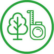 Trees monitored
