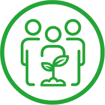 Trees planted