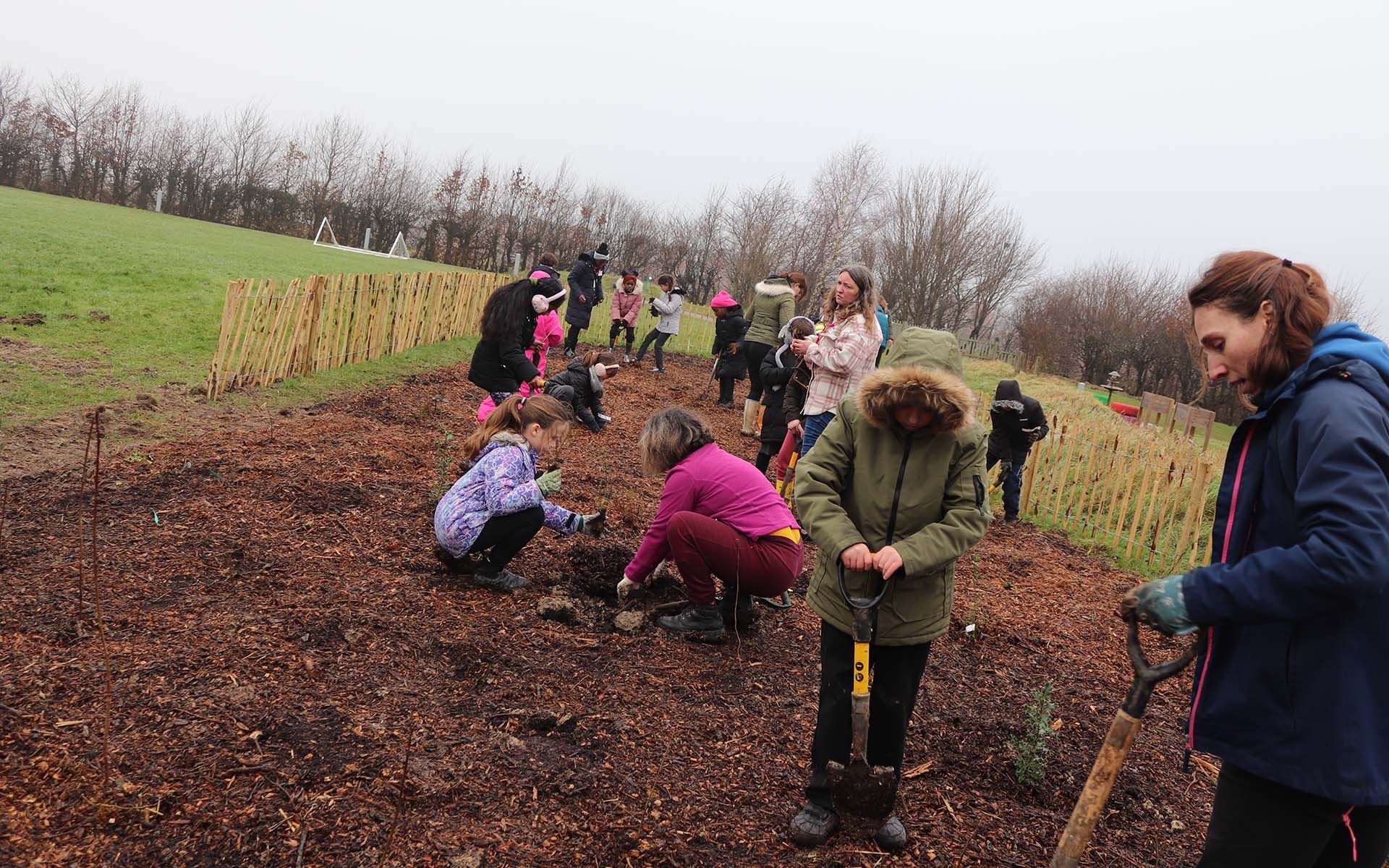 Thornhill Primary Tiny Forest - Teachers and children planting