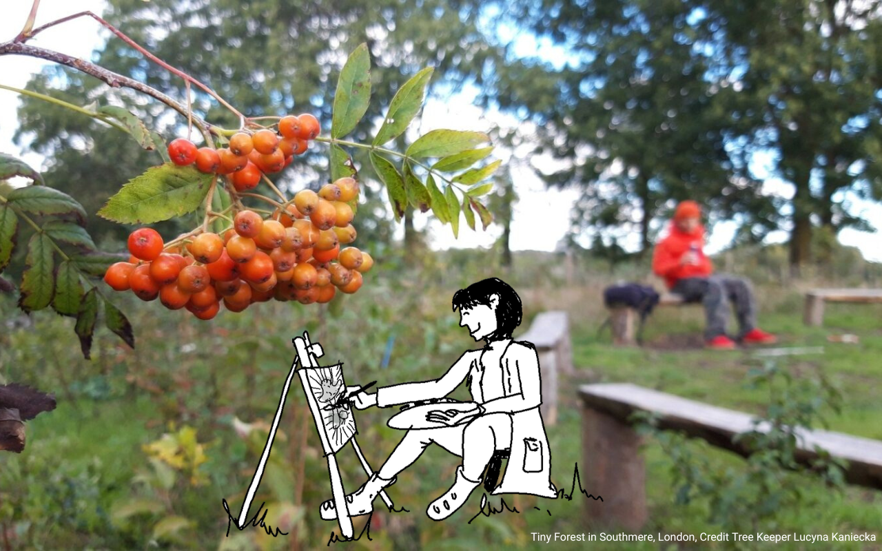 Action for community: painting rowan berries in Tiny Forest
