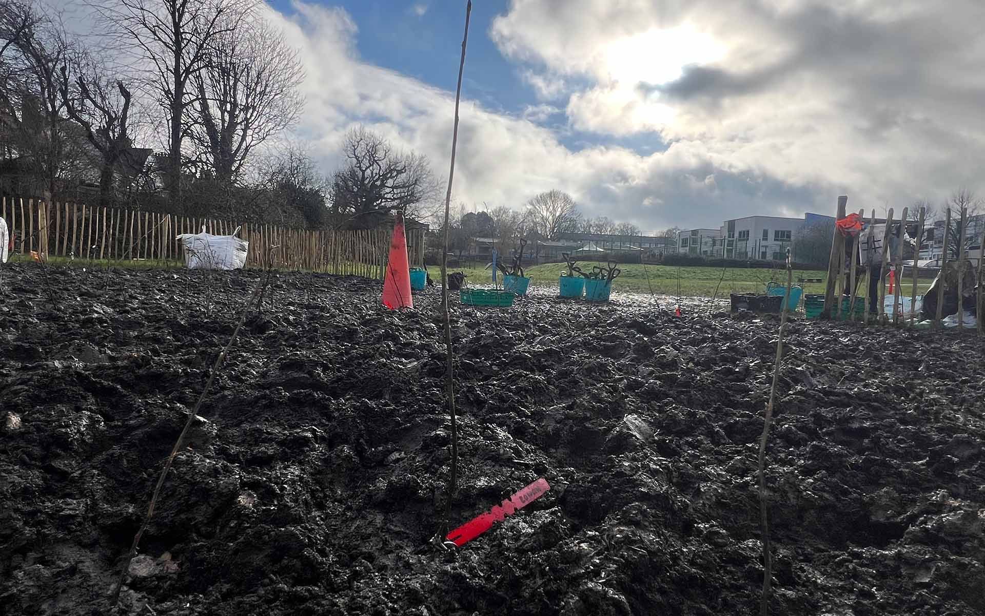 St Gregory's Roman Catholic Primary School site after planting day