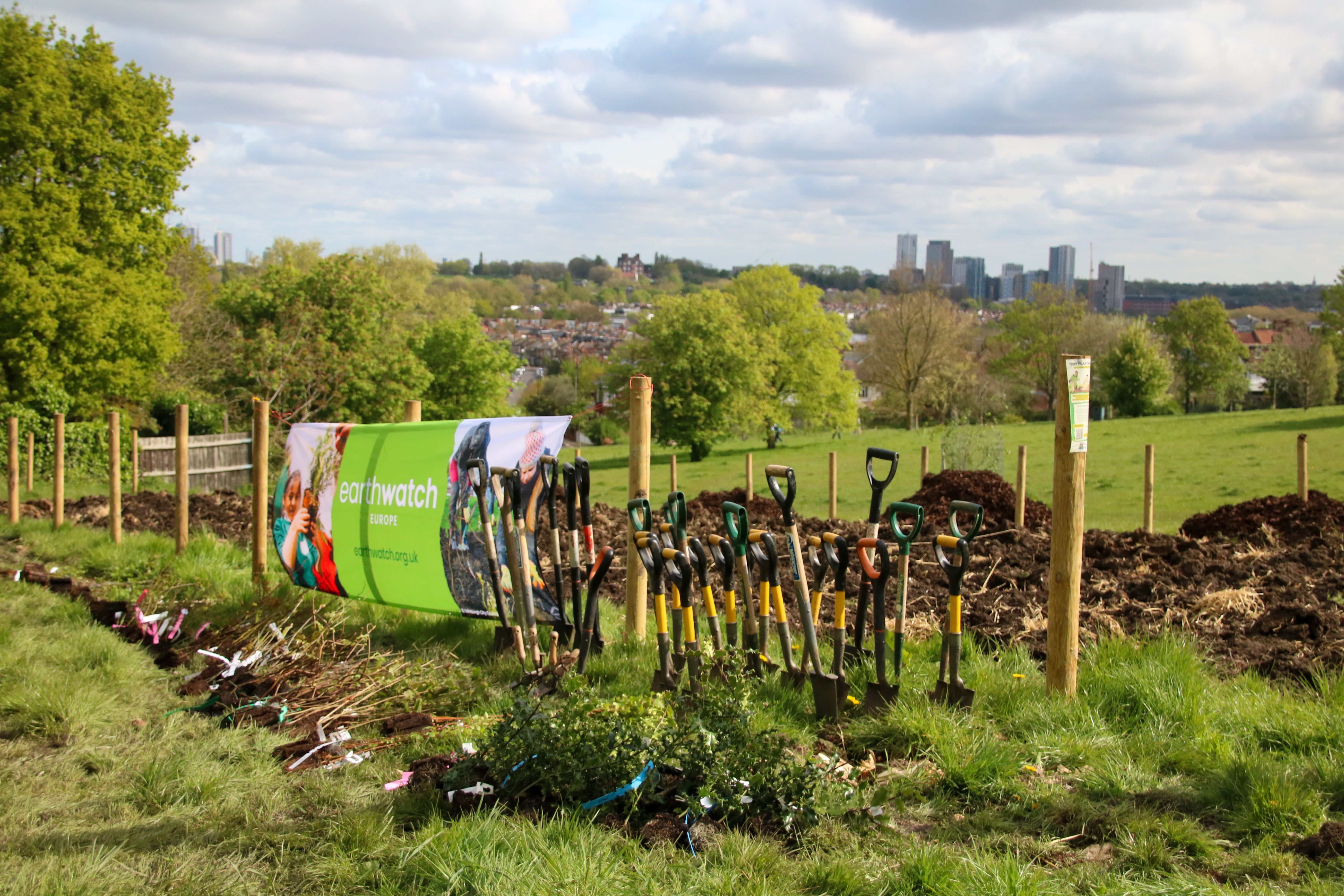 Blythe Hill Planting Day April 2024 (Photo credit: Earthwatch Europe)