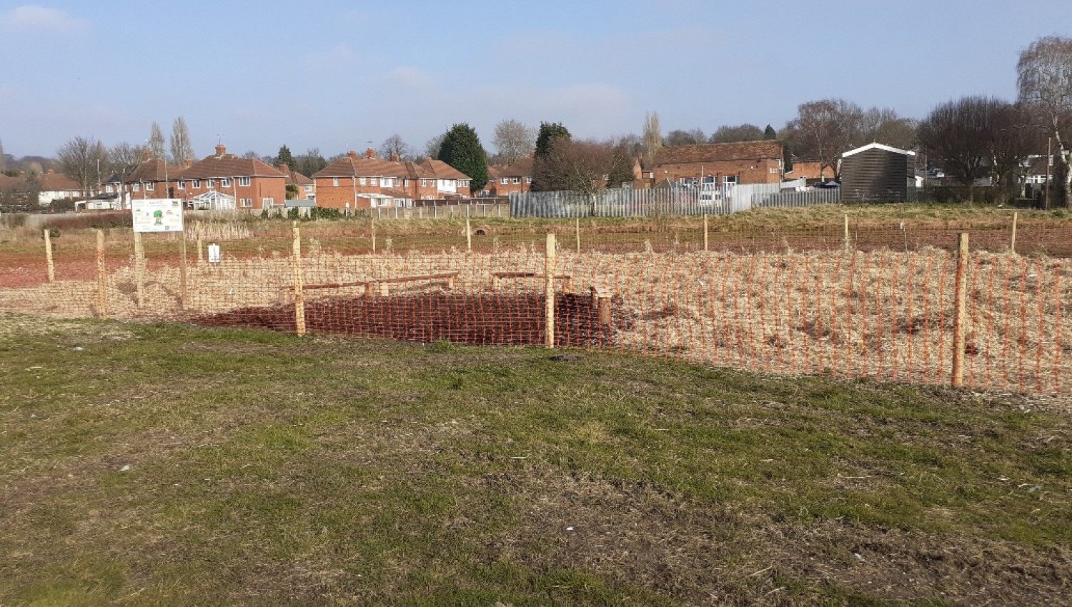 March 2021: Birmingham's first Tiny Forest is planted (Photo credit Continental Landscapes)