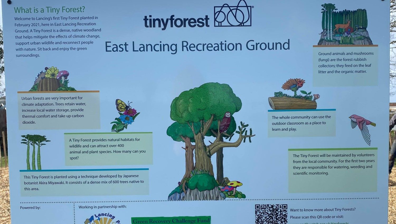 March 2021: Tiny Forest plaque (Photo credit Lancing Parish Council)