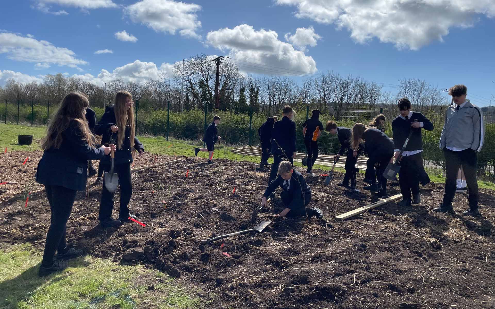Winterstoke Hundred Academy Tiny Forest student planting sapplings