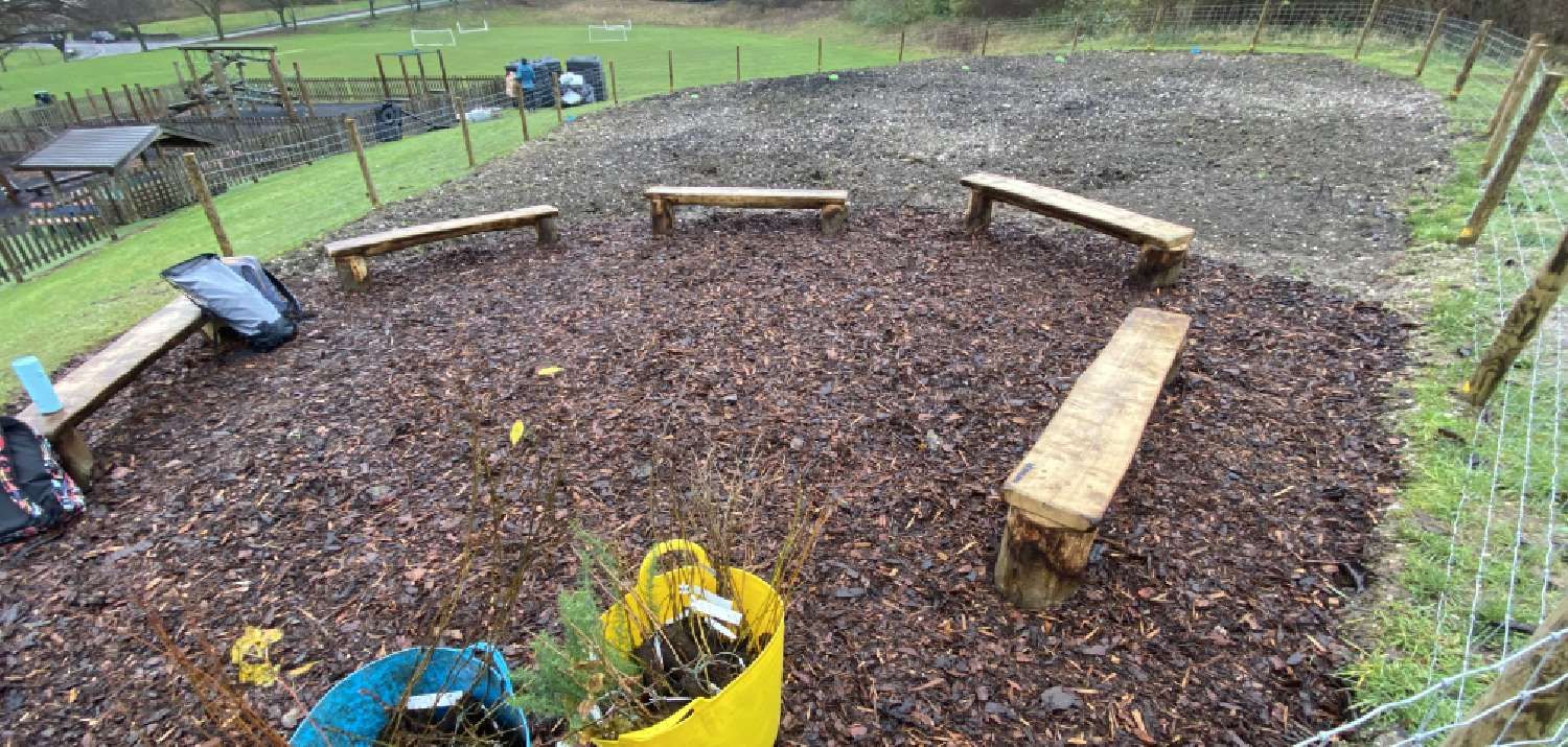 Tiny Forest Hamilton Academy December 2023 (Photo credit Buckinghamshire Council)