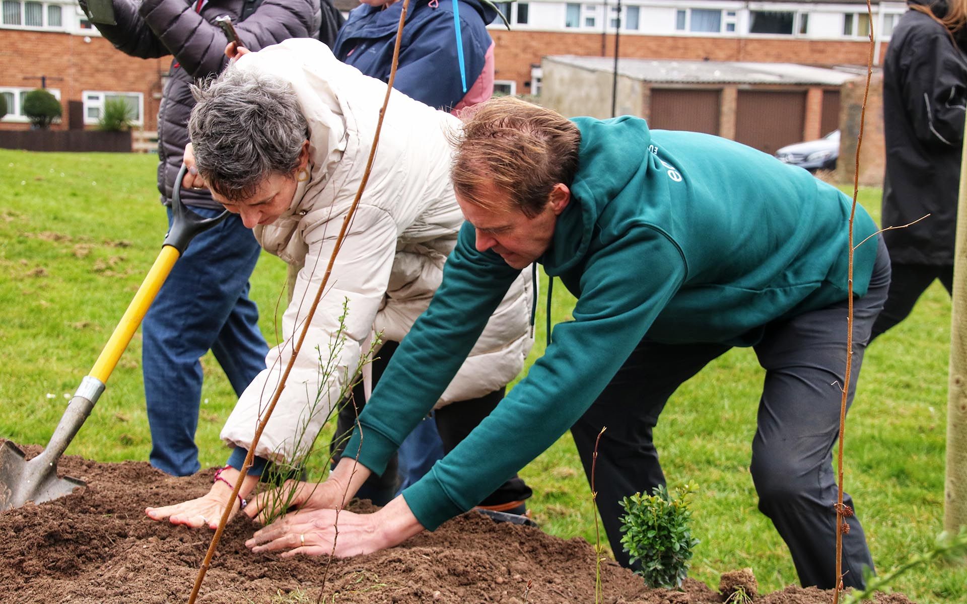 Bell Green Road Tiny Forest planting a sappling