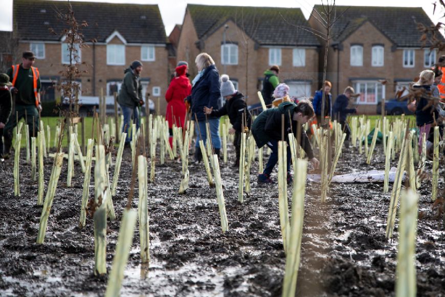 Scouts and residents planting the last trees in the forest.