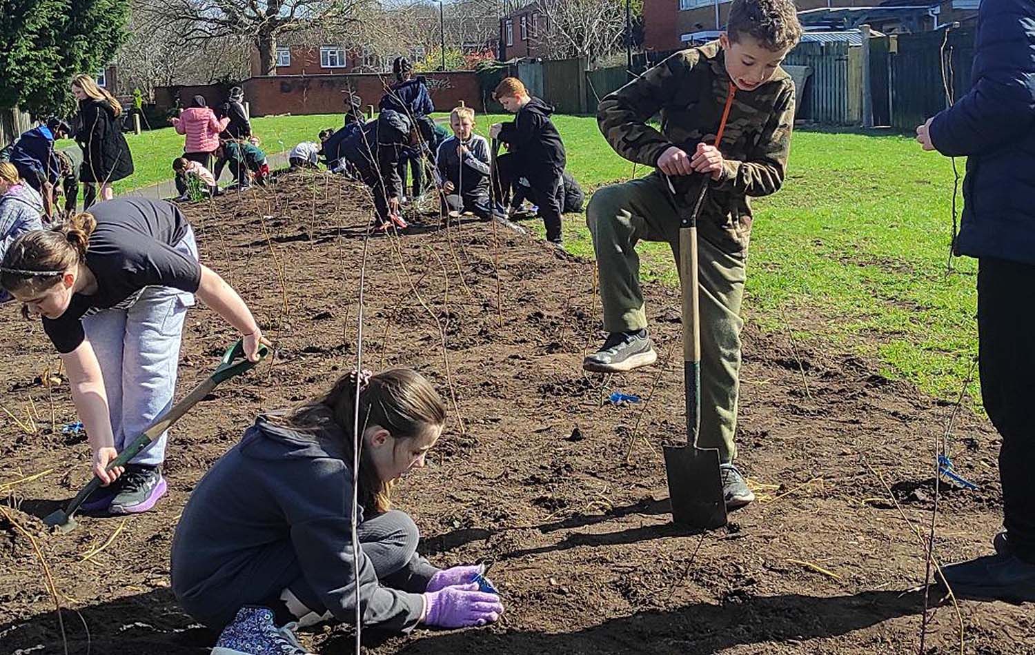 Foresters Road Tiny Forest young people planting