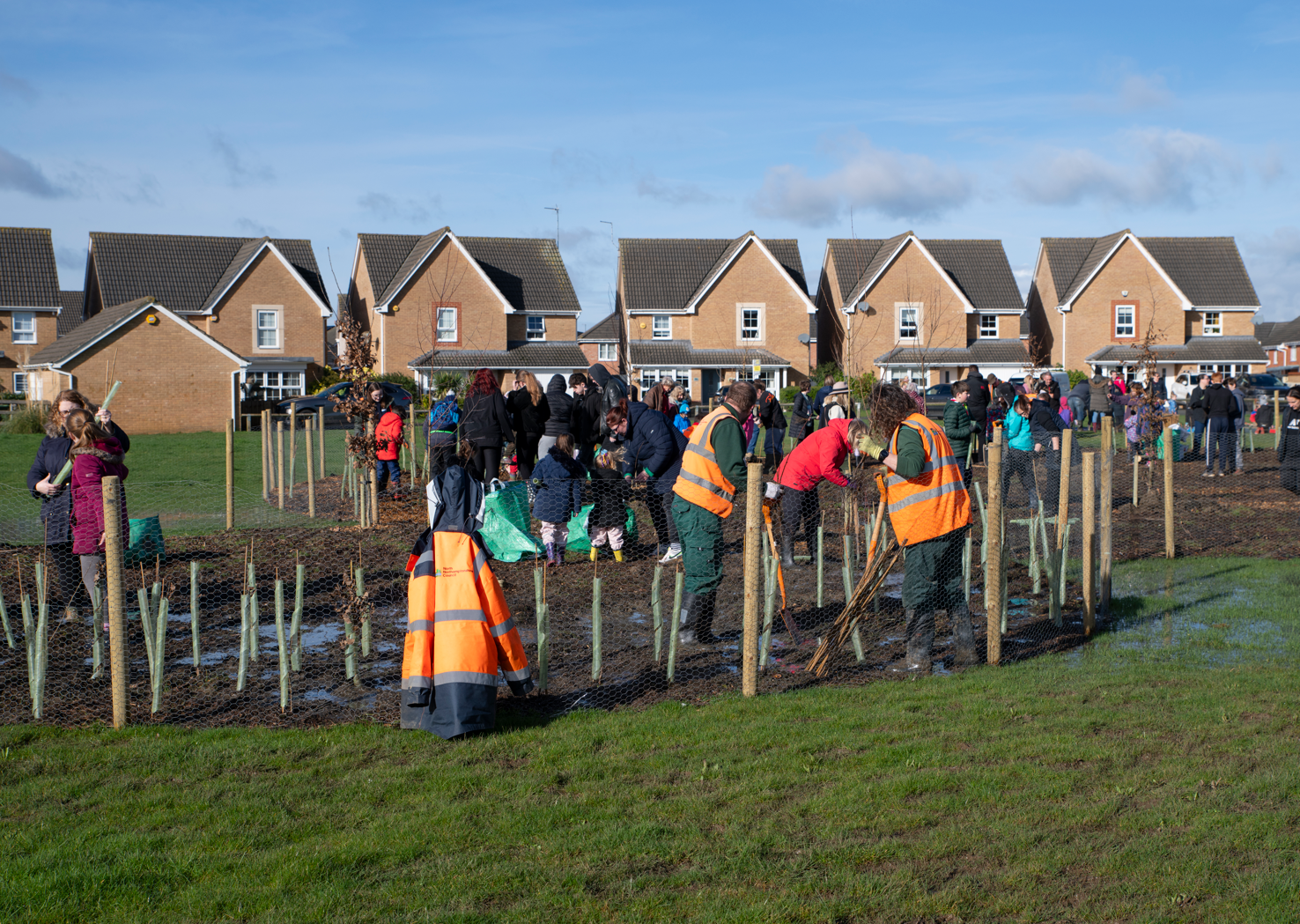 teers, residents and scouts helping to plant trees