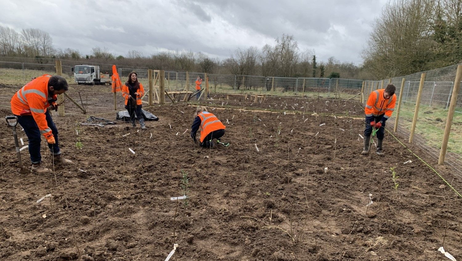 March 2021: Thames Water staff planting (Photo credit Earthwatch Europe)