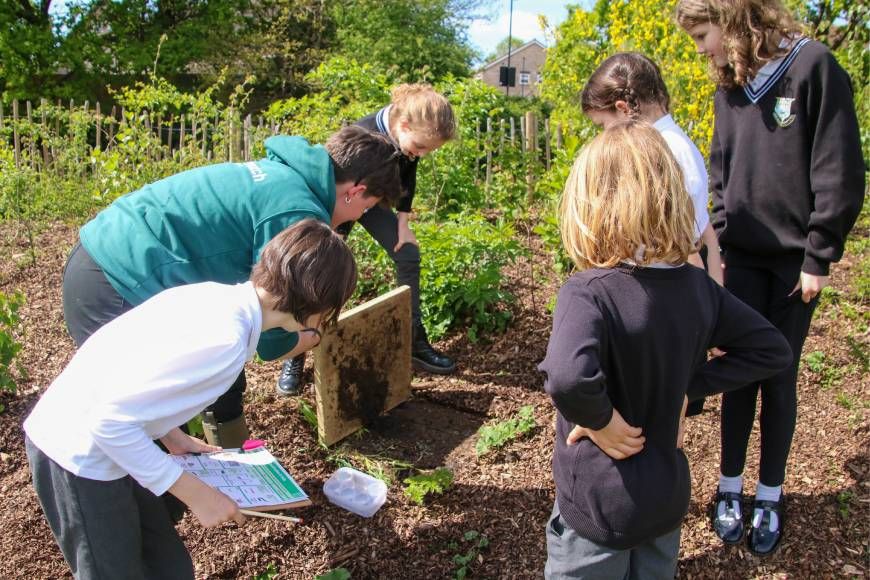 Youth in action at Blythe Hill Fields Tiny Forest (Photo Credit: Earthwatch Europe)