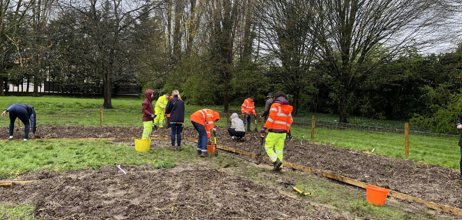 Hard work at the New River Sports Ground Tiny Forest Planting Day March 2024 (Photo Credit: Earthwatch Europe)