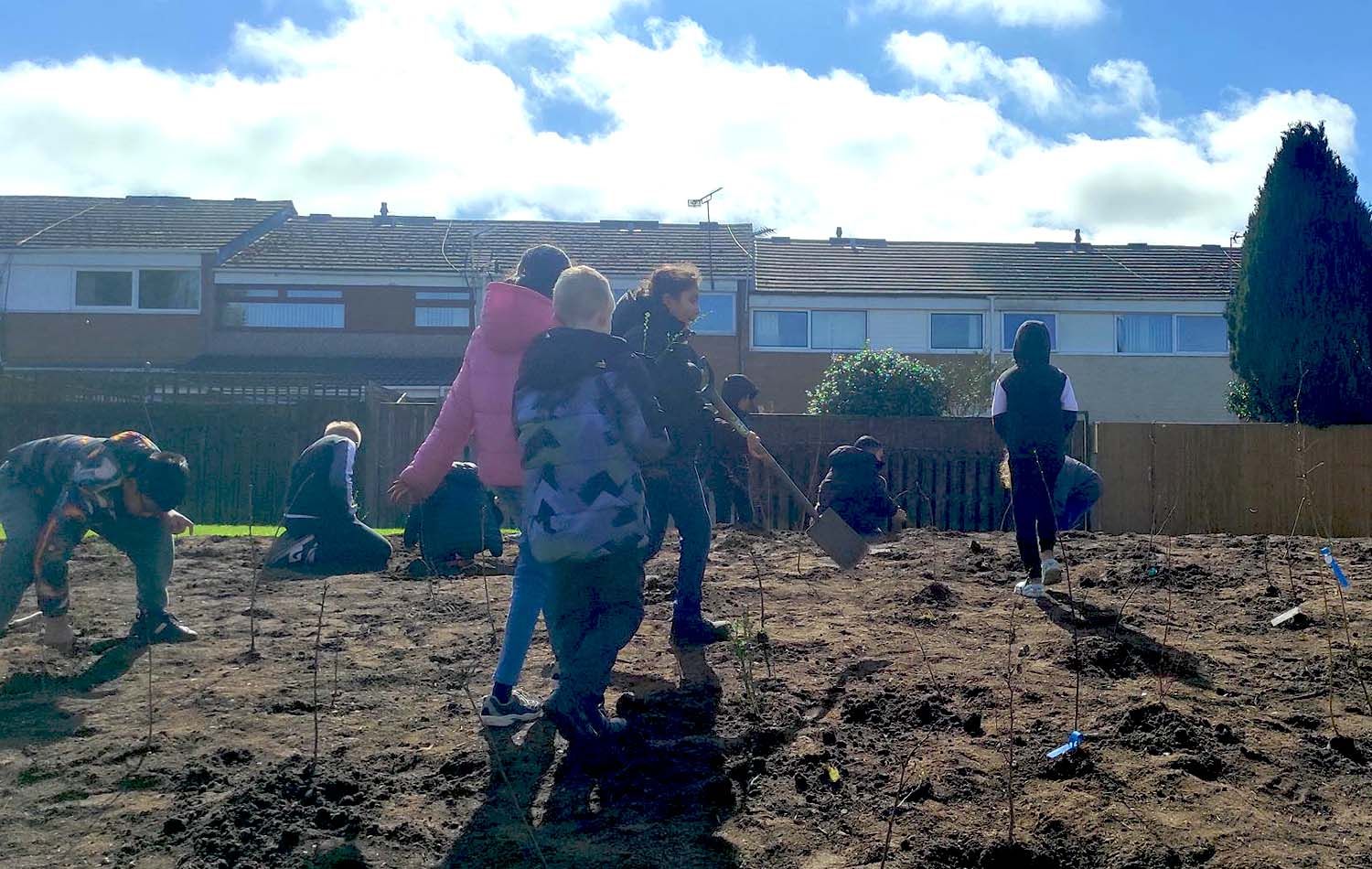 Foresters Road Tiny Forest people planting