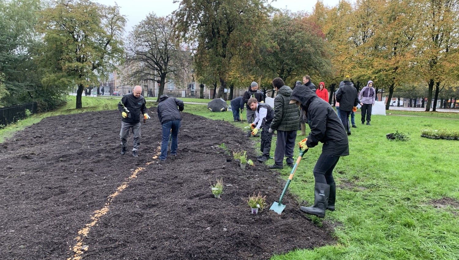 October 2021: Laying out the saplings ready for planting (Photo credit Earthwatch Europe)