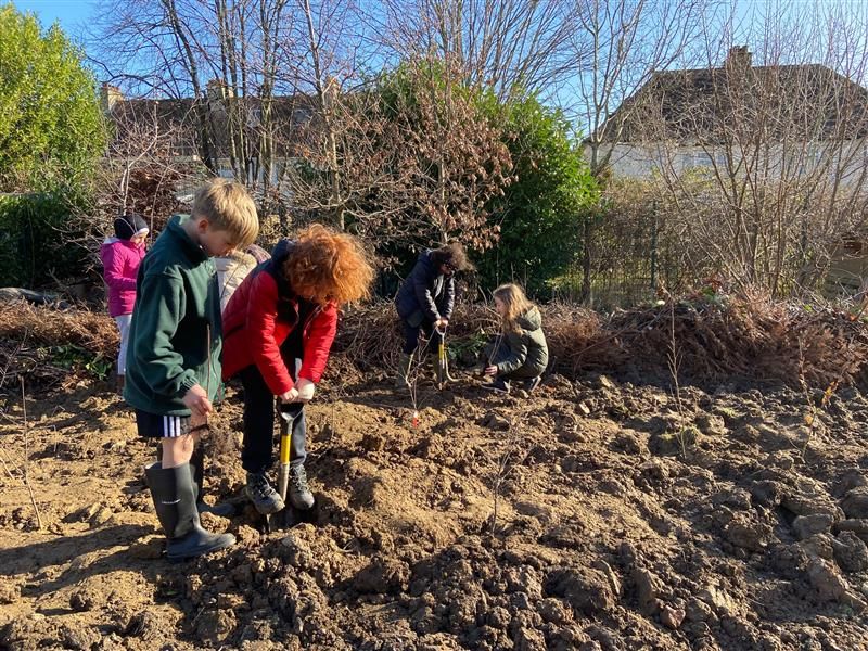 Hobbayne Tiny Forest Planting Day. Photo Credit Earthwatch Europe