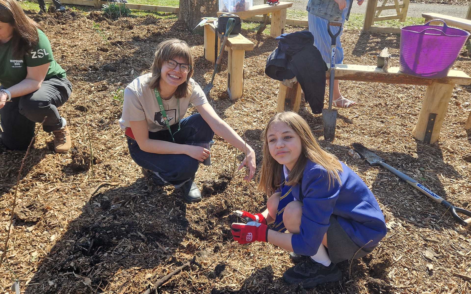 Whipsnade Zoo Tiny Forest school student and teacher planting