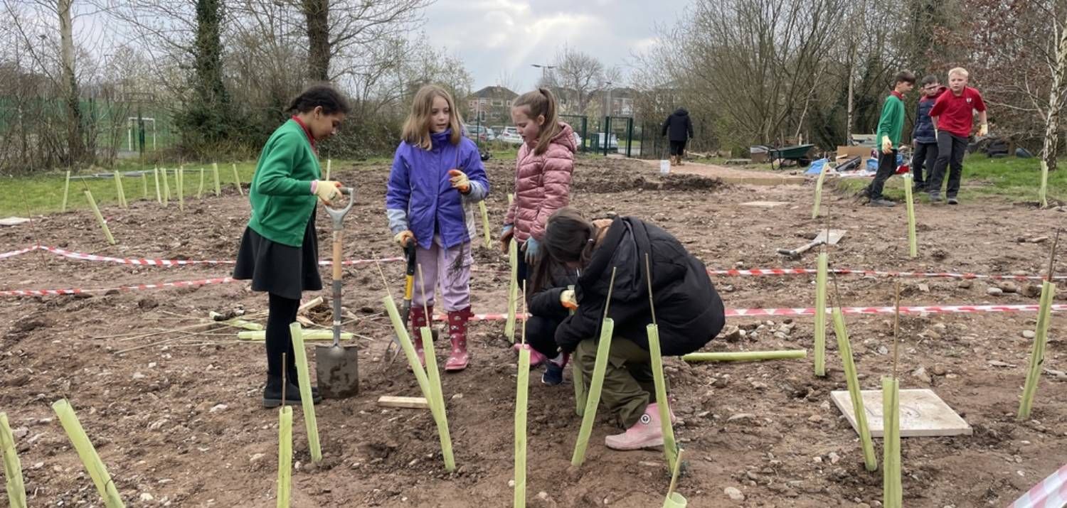 March 2024: Planting Day at Tiny Forest Ysgol Bro Alun (Photo Credit: Wrexham Council)