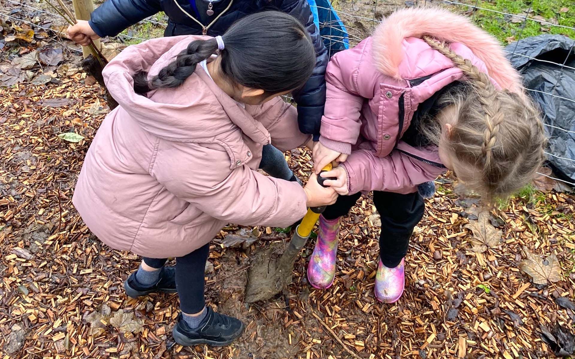 Montrose Primary Tiny Forest children planting