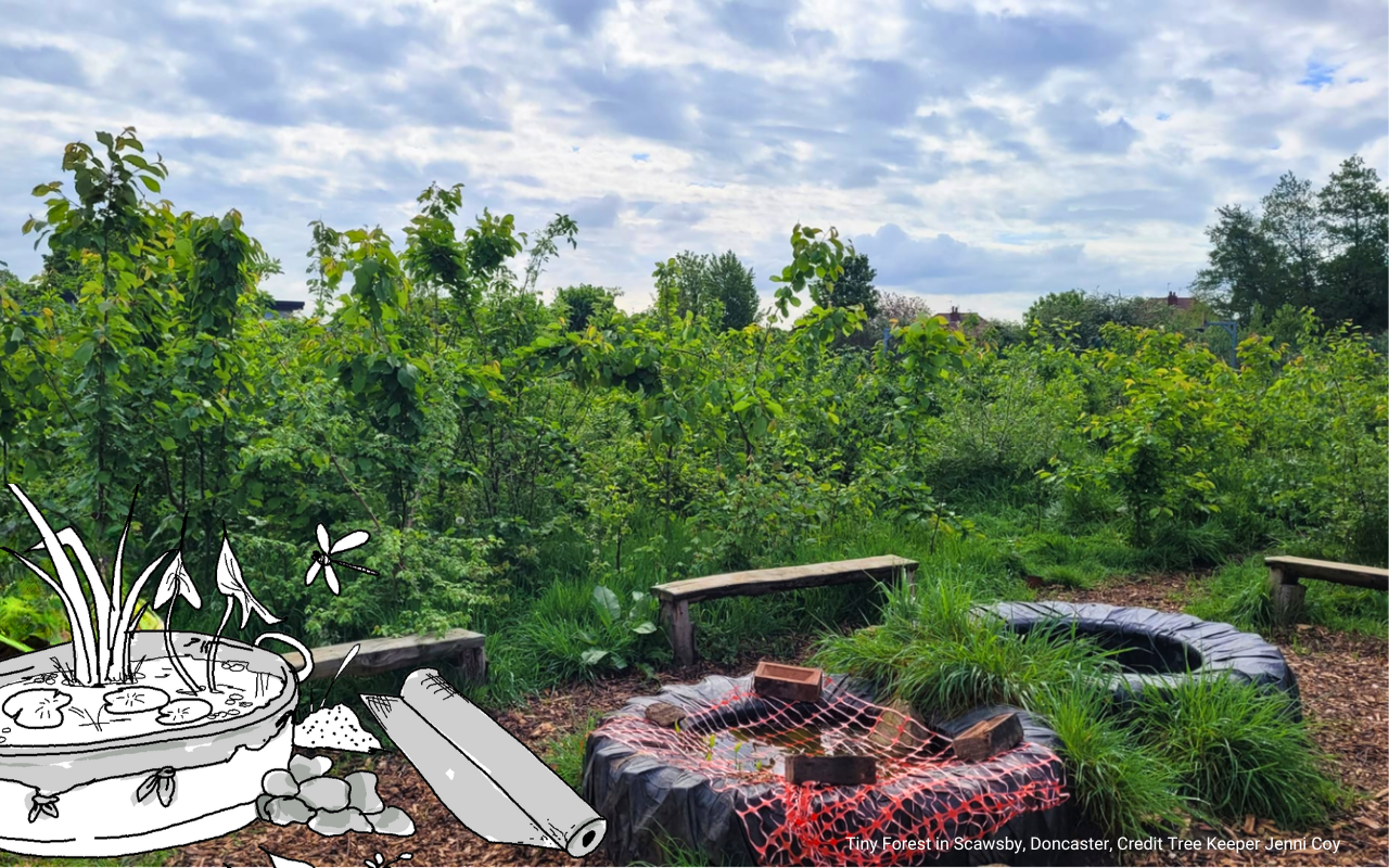 Action for nature: pond installed in Tiny Forest