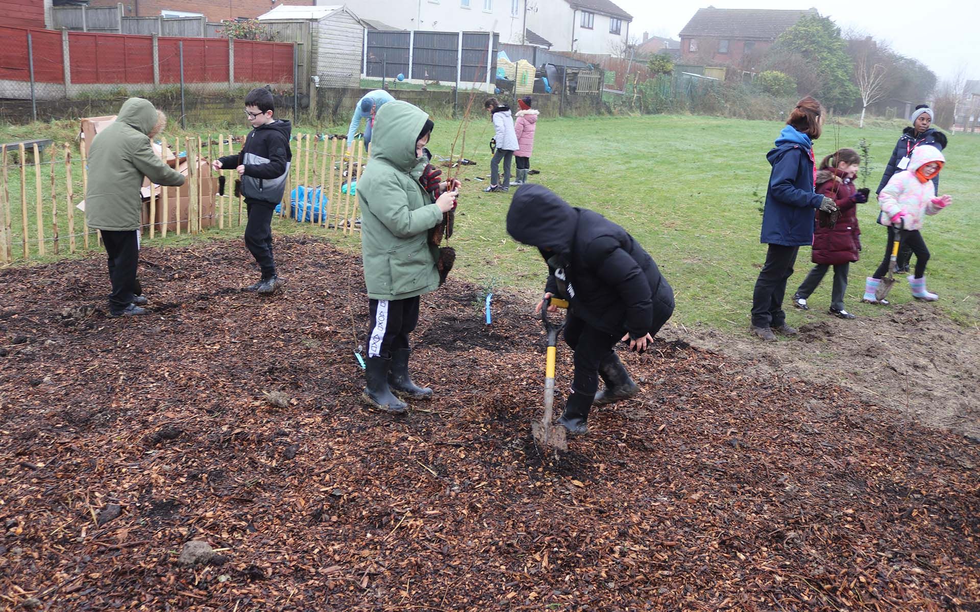 Thornhill Primary Tiny Forest - School Children digging holes