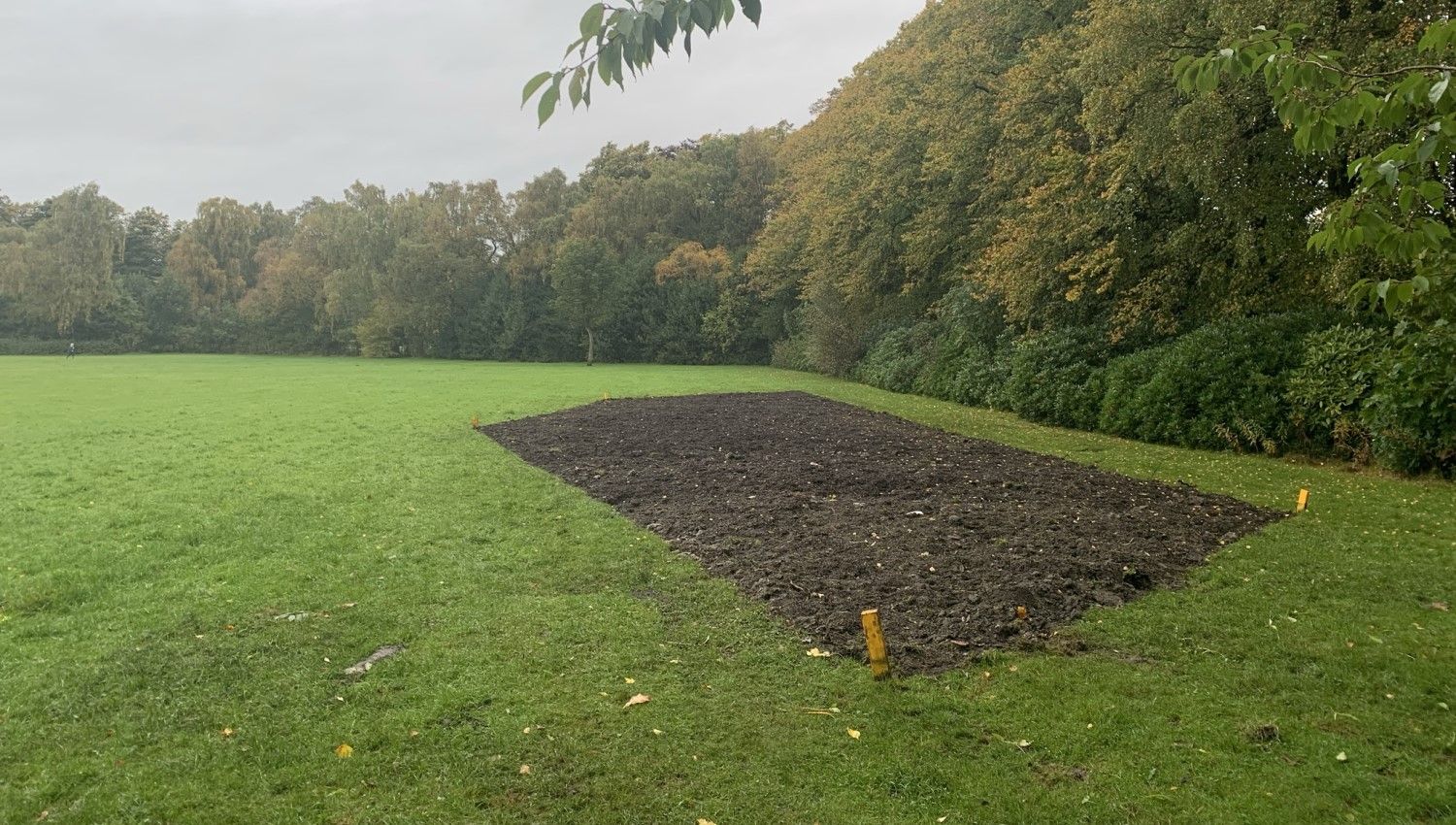 October 2021: The ground area ready for planting (Photo credit Earthwatch Europe)