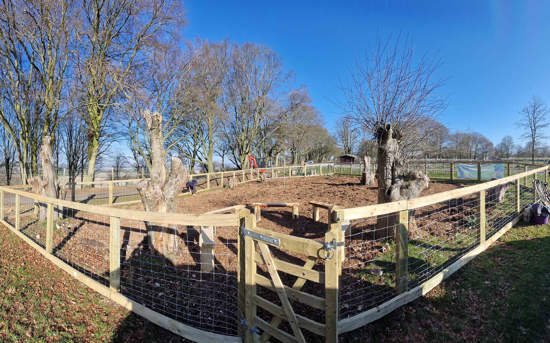Whipsnade Zoo Tiny Forest school site with fence