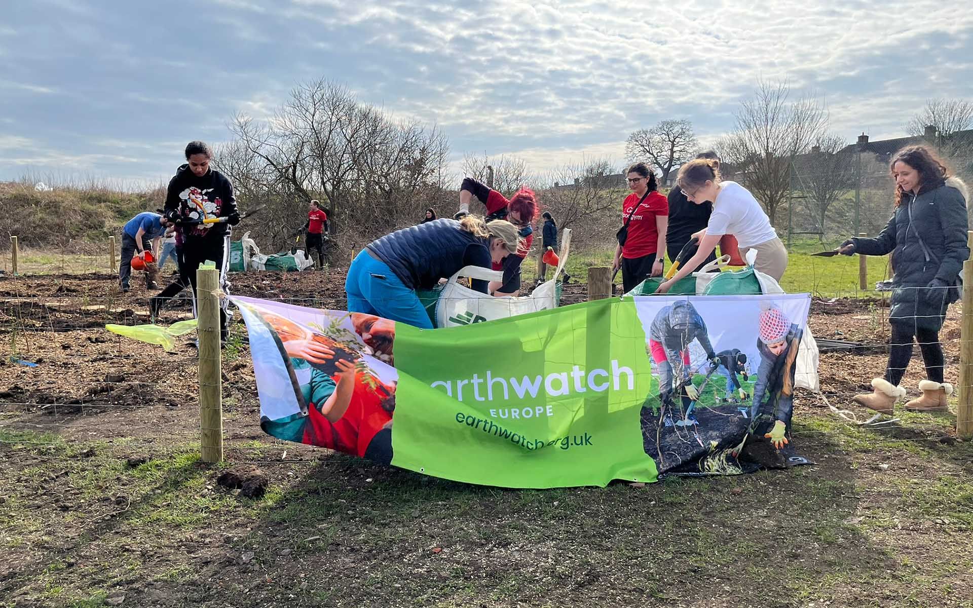 Cuckoo Park Tiny Forest Earthwatch Event