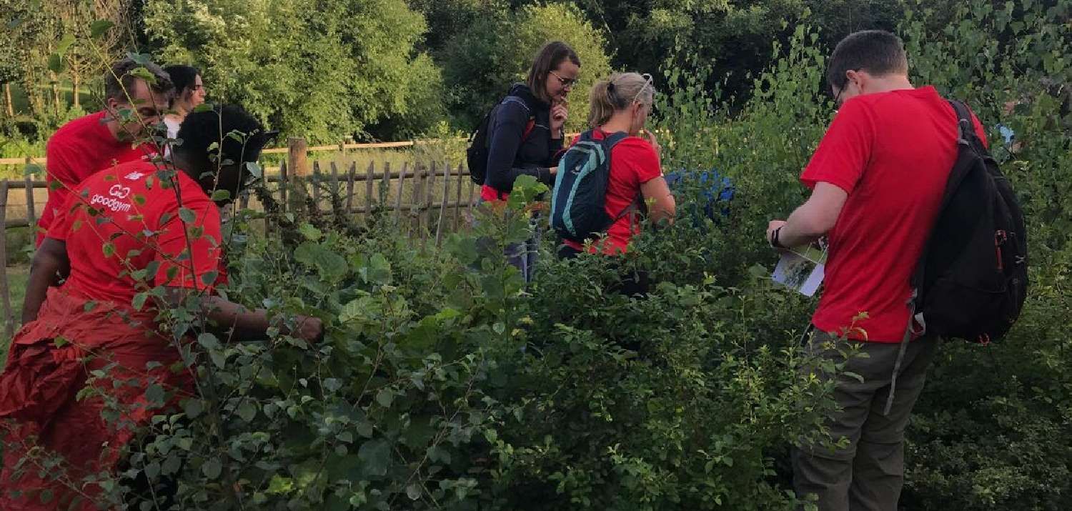August 2023: Tiny Forest is growing! (Photo credit: Goodgym, Anwen Greenaway)