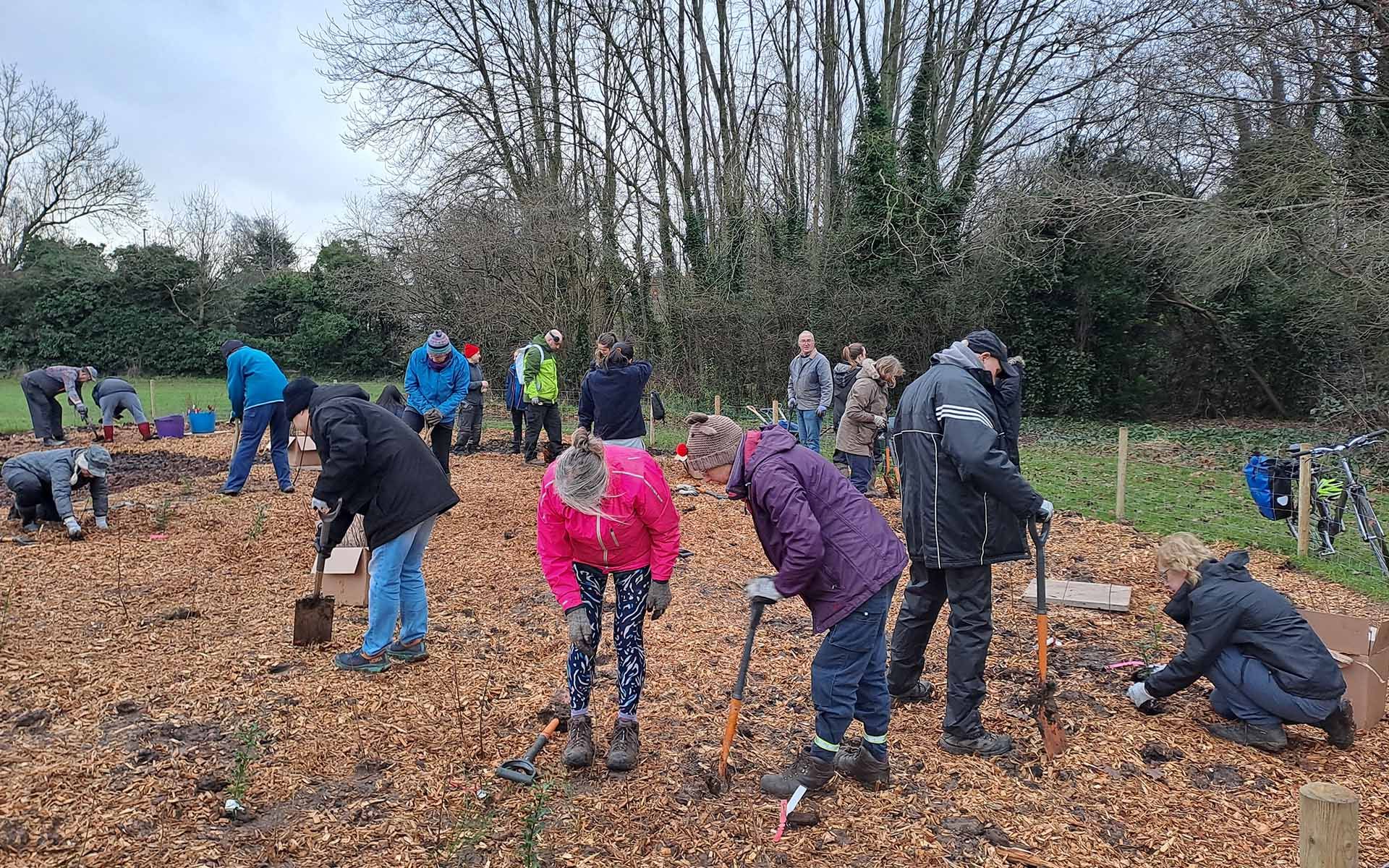 Featherstone Drive  Tiny Forest planting day