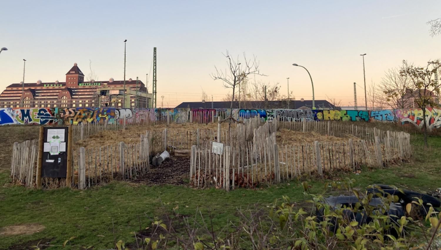 Moawald Moabiter Stadtgarten - unser Standort im Pflanzstadium