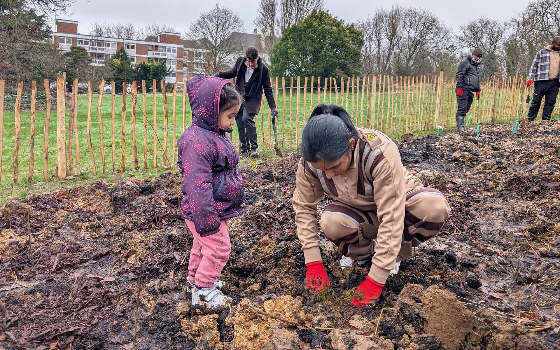 Hanger Hill Park Tiny Forest parent and child planting a tree