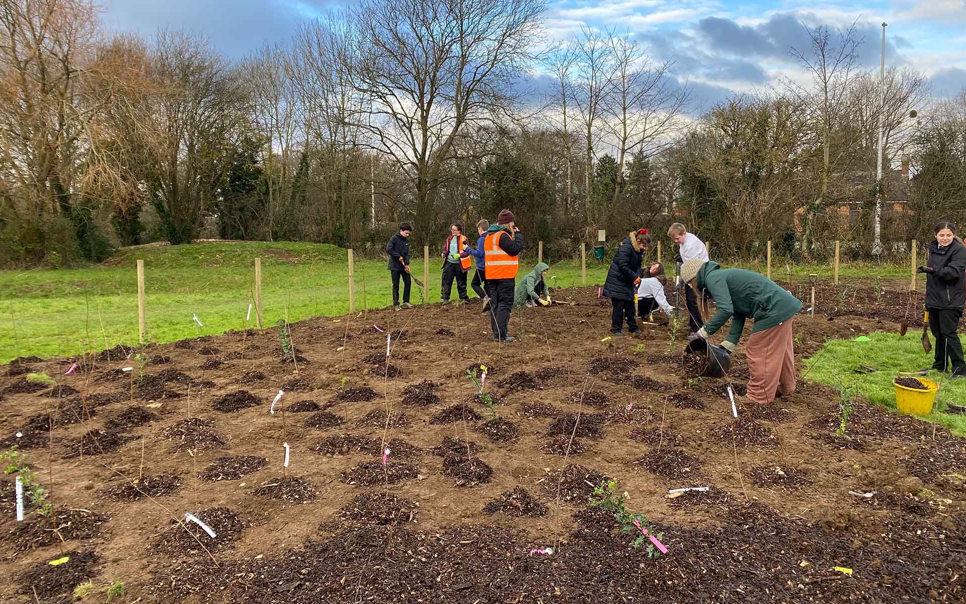 Old Banwell Road Playing Field Sapplings being planted