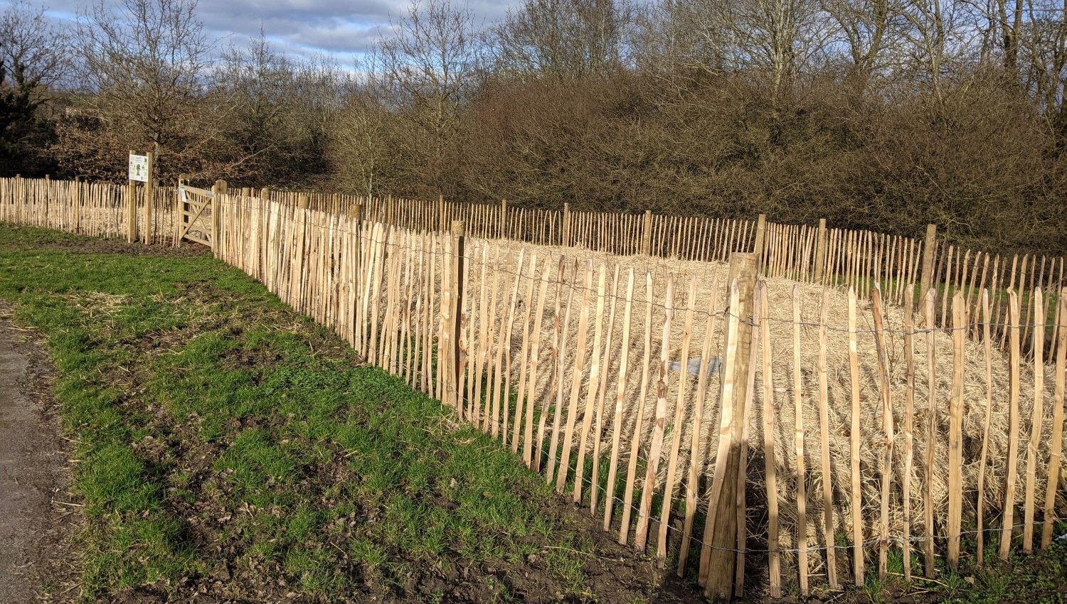 January 2021: The Tiny Forest at Foxwell Drive is planted (Photo credit Kerstin Timm. Foxwell Drive)