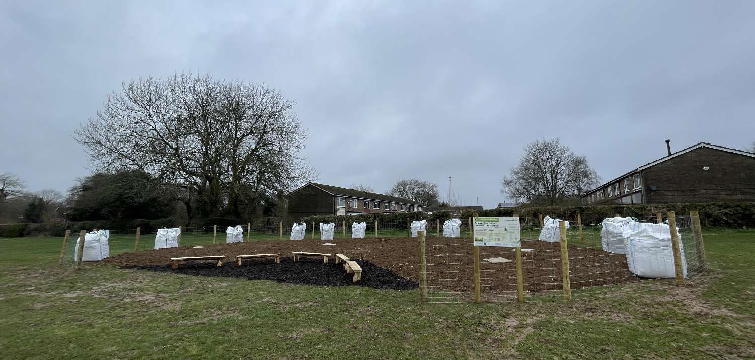 Booker Recreation Ground Tiny Forest March 2024 (Photo Credit: Earthwatch Europe)