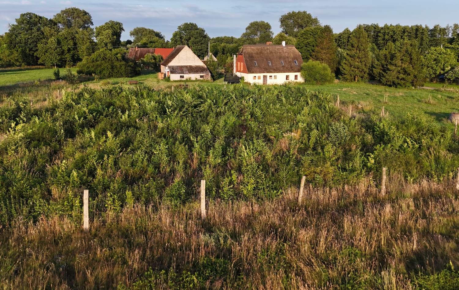 Rozwarowo plantation site