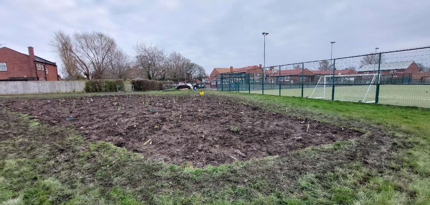 March 2024: Tiny Forest Lord Blyton Primary School (Photo Credit: Earthwatch Europe)