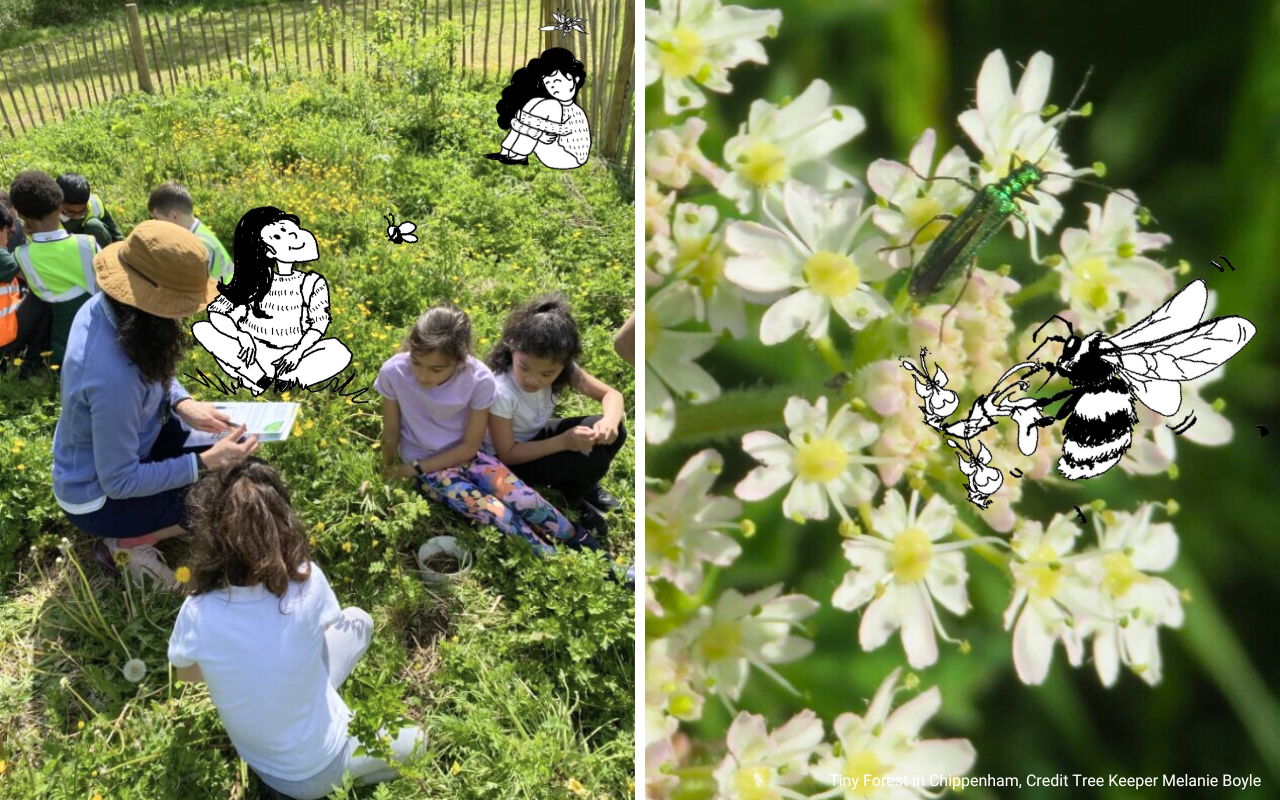 Action for community: adult and children conducting biodiversity survey in Tiny Forest