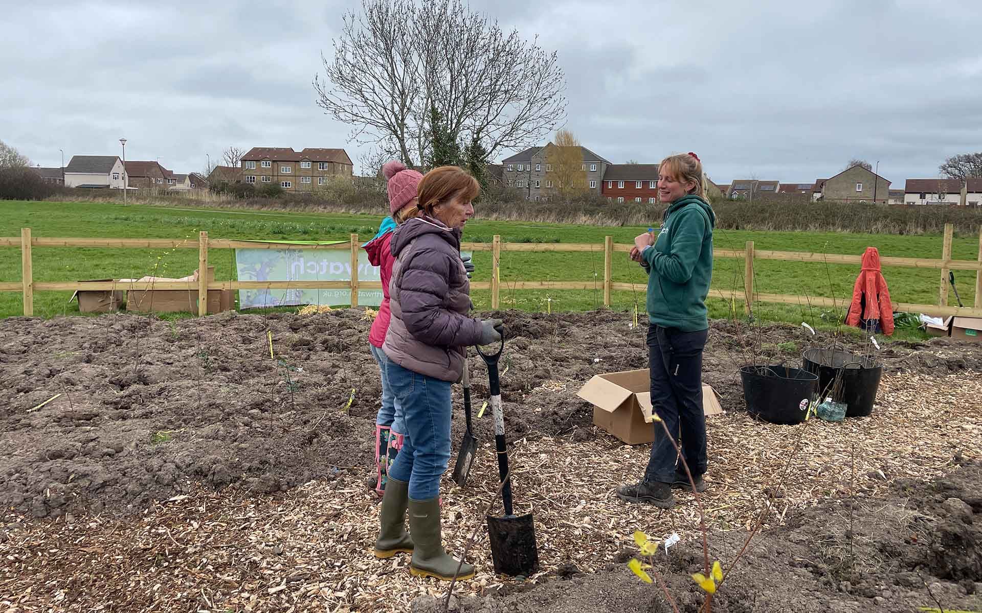 Walford Avenue Open Space general public planting